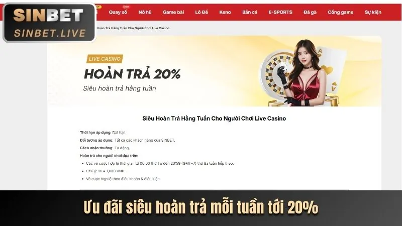 Trải nghiệm cá cược đa dạng tại app win55